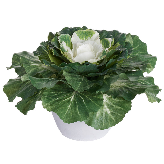 4.5" Silk Ornamental Cabbage Plant w/Cement Pot -Green/White (pack of 6) - LVC209-GR/WH