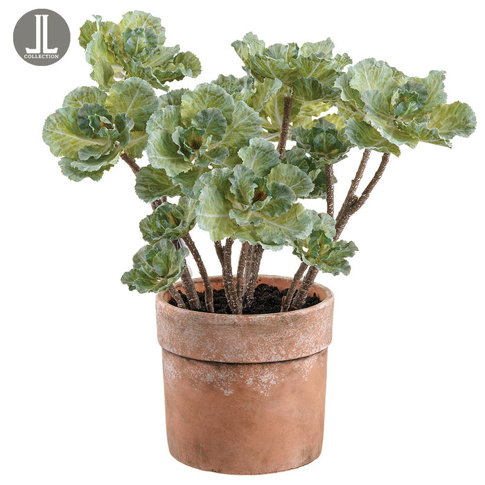 16" Silk Ornamental Cabbage Plant w/Clay Pot -Green (Pack of 2) - LVC703-GR
