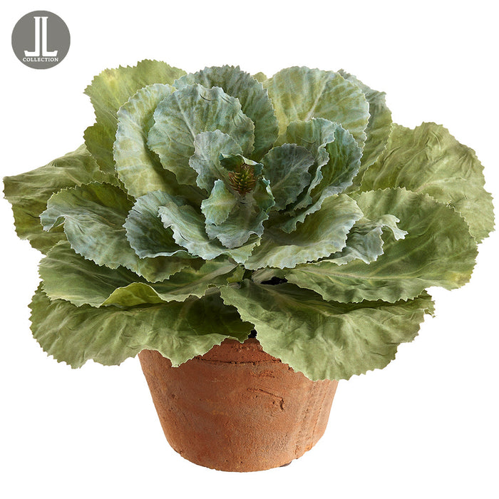 8" Silk Ornamental Cabbage Plant w/Clay Pot -Green (Pack of 4) - LVC717-GR
