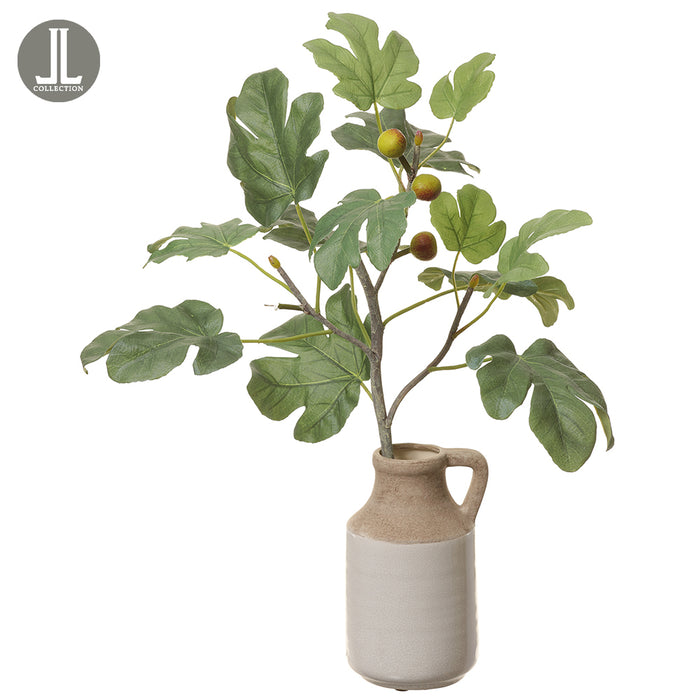 24" Silk Fig Plant w/Ceramic Pitcher -Green (pack of 2) - LVF122-GR