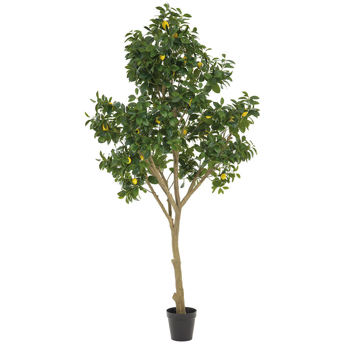 9'10" Silk Lemon Fruiting Tree w/Plastic Pot -Yellow/Green - LVL020-YE/GR