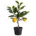 15.75" Silk Lemon Fruiting Tree w/Plastic Pot -Yellow/Green (pack of 2) - LVL026-YE/GR