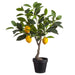 23.5" Silk Lemon Fruiting Tree w/Plastic Pot -Yellow/Green (pack of 2) - LVL027-YE/GR