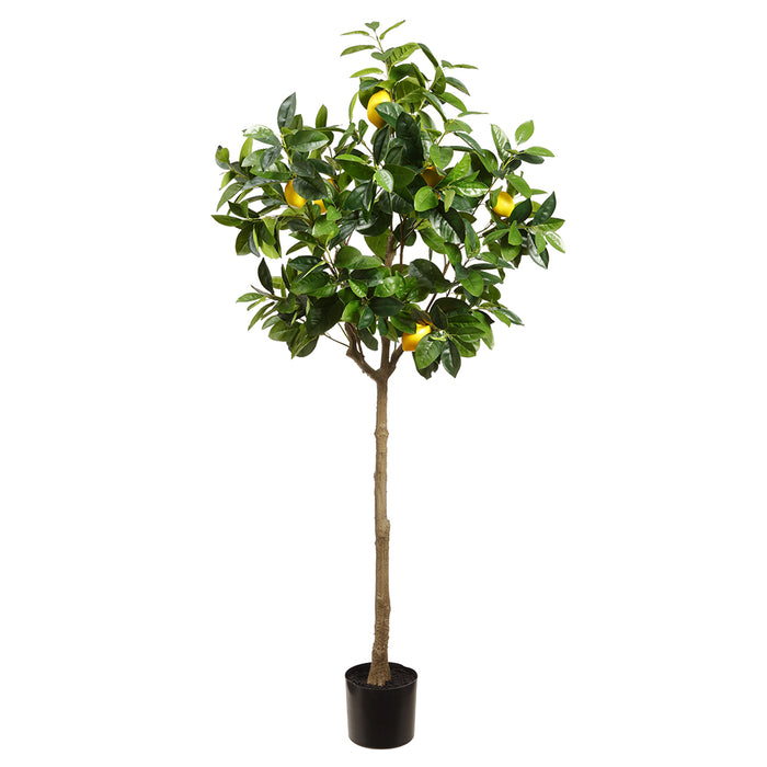 5'5" Silk Lemon Fruiting Tree w/Plastic Pot -Yellow/Green (pack of 2) - LVL139-YE/GR