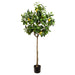 5'5" Silk Lemon Fruiting Tree w/Plastic Pot -Yellow/Green (pack of 2) - LVL139-YE/GR