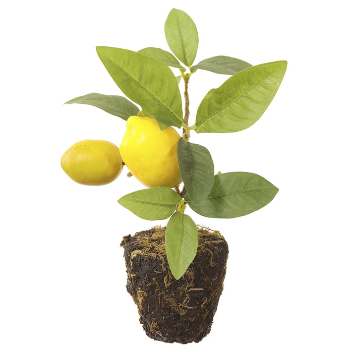 9" Artificial Lemon Fruit Plant w/Soil & Roots -Yellow (pack of 12) - LVL224-YE
