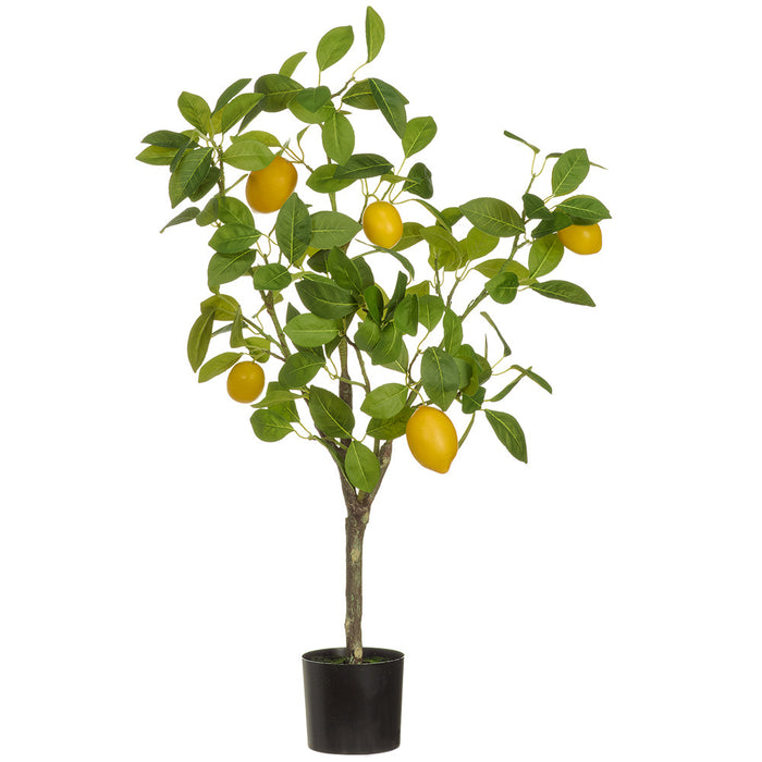 2'11" Lemon Fruiting Silk Tree w/Plastic Pot -Yellow (Pack of 2) - LVL810-YE