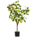 2'11" Lemon Fruiting Silk Tree w/Plastic Pot -Yellow (Pack of 2) - LVL810-YE