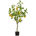 3'8" Lemon Fruiting Silk Tree w/Plastic Pot -Yellow (Pack of 2) - LVL811-YE