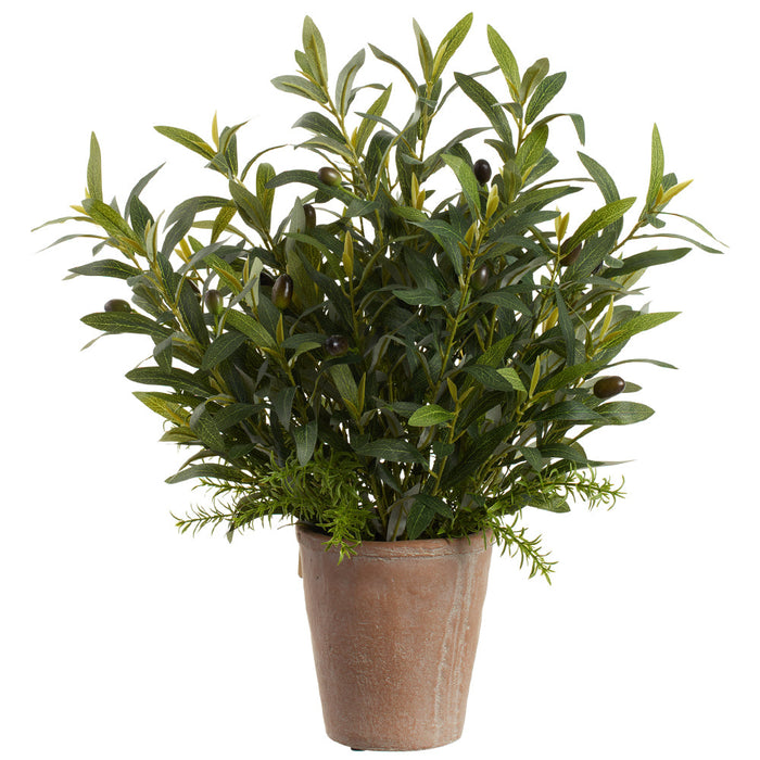 22" Mixed Olive & Rosemary Herb Silk Plant w/Cement Pot -Green (Pack of 2) - LVO069-GR