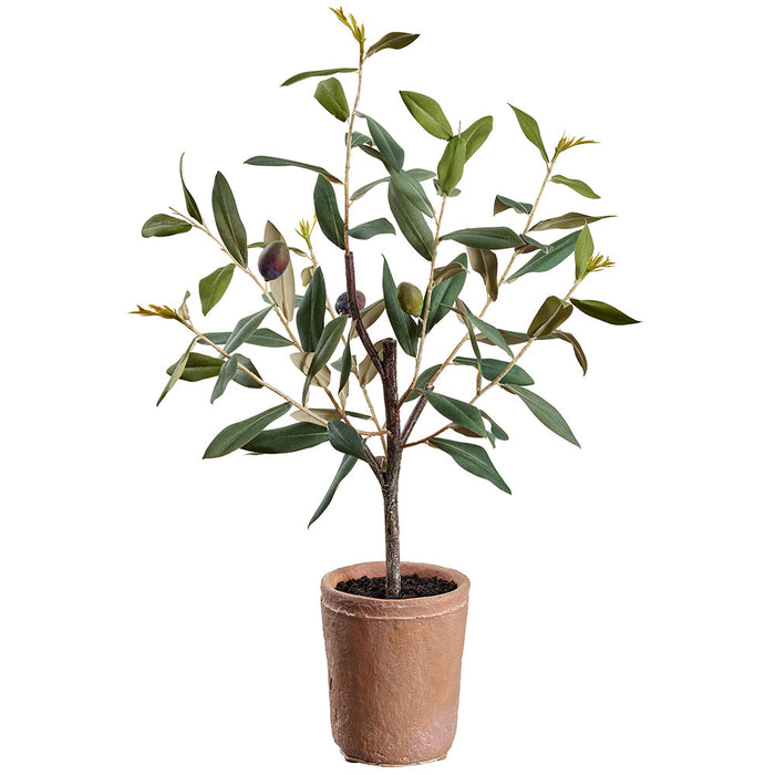 1'6" Olive Silk Tree w/Clay Pot -Green (Pack of 9) - LVO708-GR