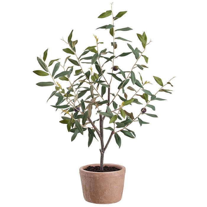 2'4" Olive Silk Tree w/Clay Pot -Green (Pack of 4) - LVO709-GR