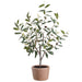 2'4" Olive Silk Tree w/Clay Pot -Green (Pack of 4) - LVO709-GR