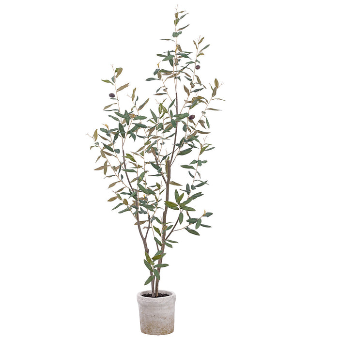 4'2" Olive & Berry Silk Tree w/Clay Pot -Green - LVO722-GR