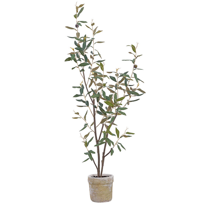 3'3" Olive & Berry Silk Tree w/Clay Pot -Green (Pack of 2) - LVO723-GR