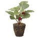 6.5" Artificial Raspberry Fruit Plant w/Soil & Roots -Raspberry (pack of 12) - LVR022-RA