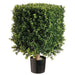 1'9" Boxwood Square-Shaped Artificial Topiary w/Pot Indoor/Outdoor - LZB221-GR/TT