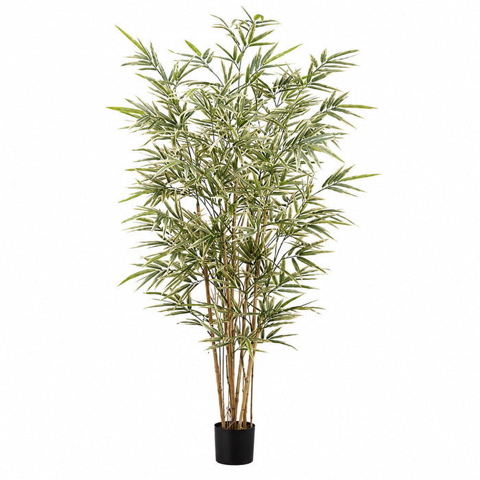 4' Bamboo Silk Tree w/Pot -960 Leaves -Variegated - LZB354-VG