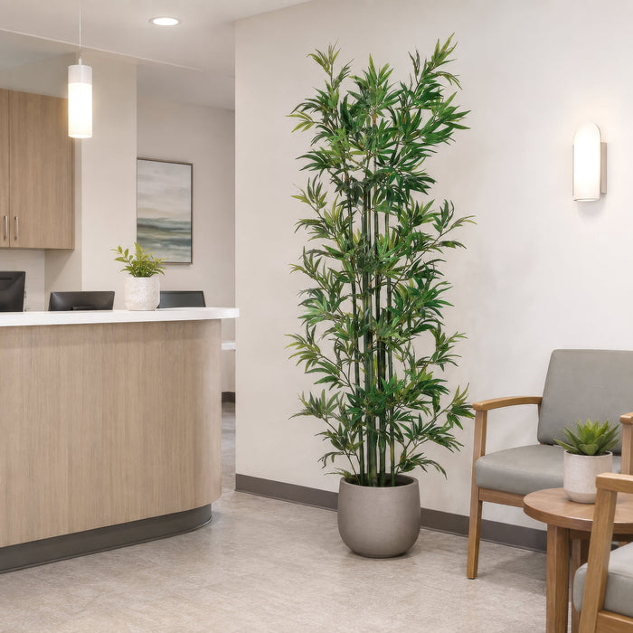6' Bamboo Silk Tree w/Pot -Green - LZB736-GR