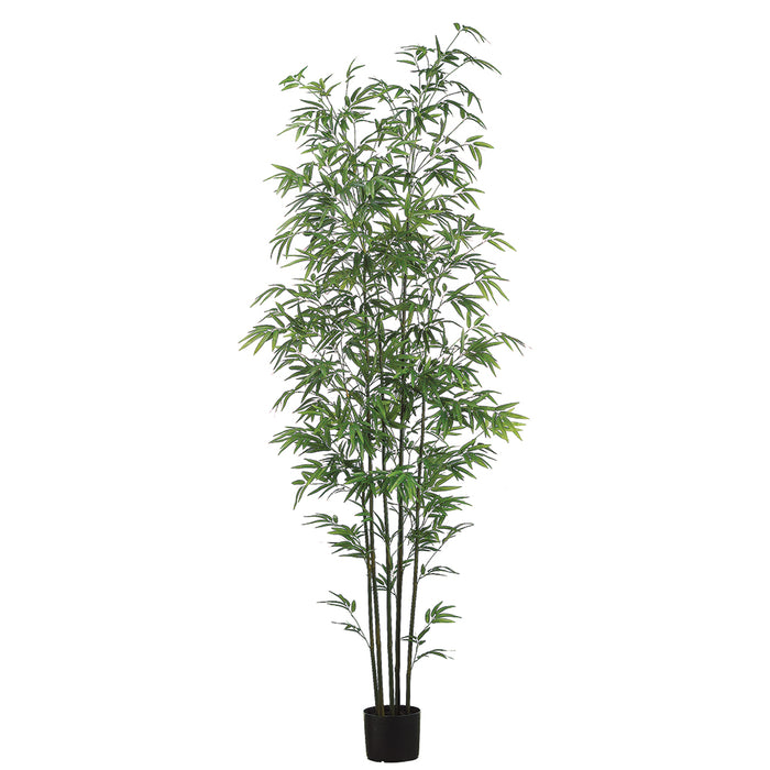 7' Mini Green Stem Bamboo Silk Tree w/Pot - LZB907-GR/TT