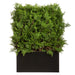 51"Hx31"W UV-Resistant Outdoor Artificial Ming Juniper Topiary Hedge w/Black Glossy Planter -Green - LZJ113-GR