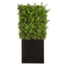 66"Hx31"W UV-Resistant Outdoor Artificial Ming Juniper Topiary Hedge w/Black Glossy Planter -Green - LZM229-GR