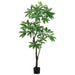 6' EVA Money Silk Tree w/Pot -Green - LZP206-GR