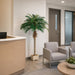 5'3" Phoenix Silk Palm Tree w/Container -Green (Pack of 2) - LPP506-