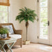 5'3" Phoenix Silk Palm Tree w/Container -Green (Pack of 2) - LPP506-