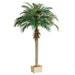 5'3" Phoenix Silk Palm Tree w/Container - LZP506-