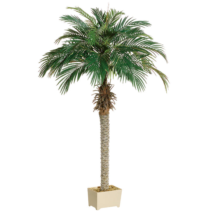 5'3" Phoenix Silk Palm Tree w/Container -Green (Pack of 2) - LPP506-