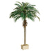 5'3" Phoenix Silk Palm Tree w/Container -Green (Pack of 2) - LPP506-