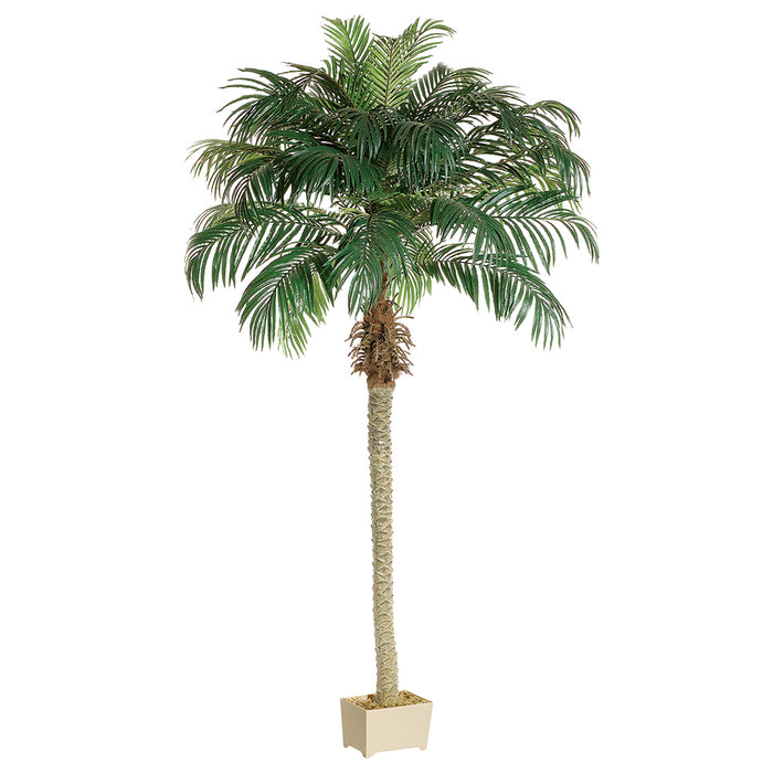8' Phoenix Silk Palm Tree w/Container - LZP508-