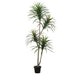 6' Yucca Silk Tree w/Pot -Green/Burgundy - LZY182-GR/BU