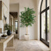 10'6"Hx48"W Ficus Benjamina Leaf Silk Tree w/Cement Planter -Green - MT8001-GR