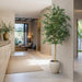 10'6"Hx48"W Ficus Benjamina Leaf Silk Tree w/Cement Planter -Green - MT8001-GR