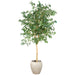 10'6"Hx48"W Ficus Benjamina Leaf Silk Tree w/Cement Planter -Green - MT8001-GR