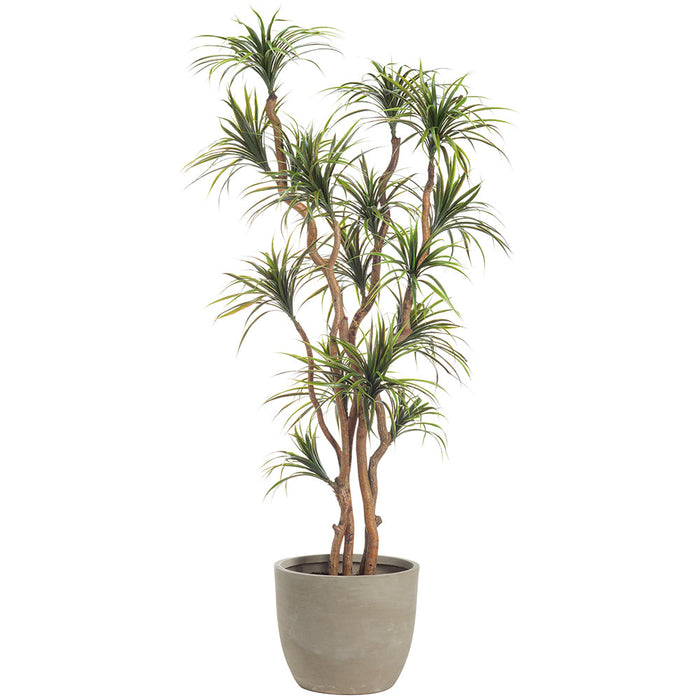 7'4"Hx54"W Dracaena Silk Tree w/Cement Planter -Green/Red - MT8013-GR/RE