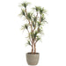 7'4"Hx54"W Dracaena Silk Tree w/Cement Planter -Green/Red - MT8013-GR/RE