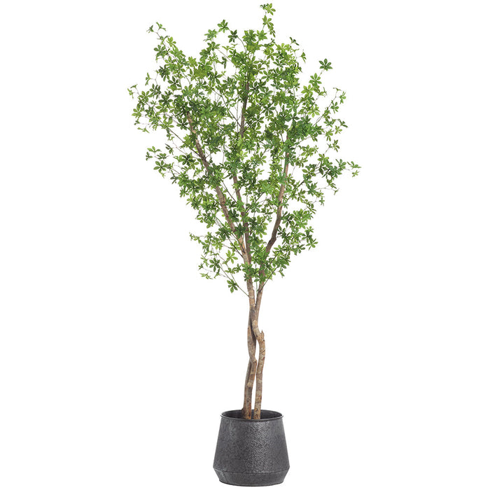 7'2"Hx40"W Enkianthus Silk Tree w/Metal Container -Green - MT8015-GR