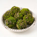 3" Moss & Lichen Ball-Shaped Artificial Topiary -Green/Brown (Pack of 12) - AA6053-GR/BR