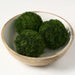 4.3" Preserved Sphagnum Moss Ball-Shaped Topiary -Green (Pack of 18) - APS312-GR