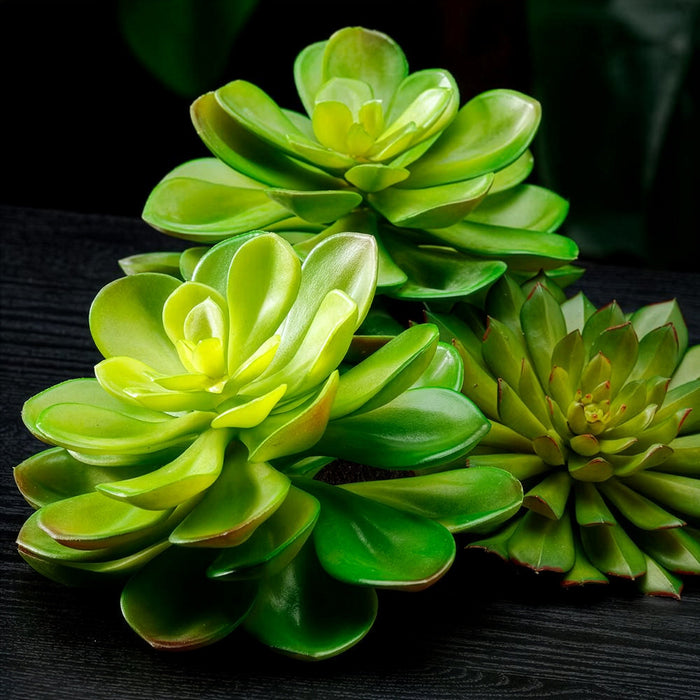 9"Hx6"W Echeveria Artificial Stem Pick -Green (Pack of 12) - CE3196-GR