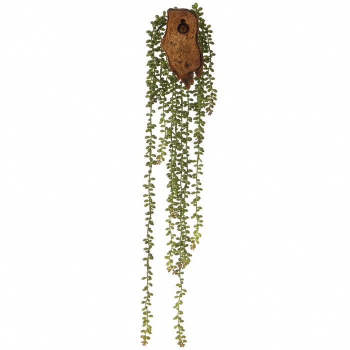 28" Donkey Tail Succulent Artificial Plant w/Wall Hanger -Green (Pack of 6) - CZD885-GR