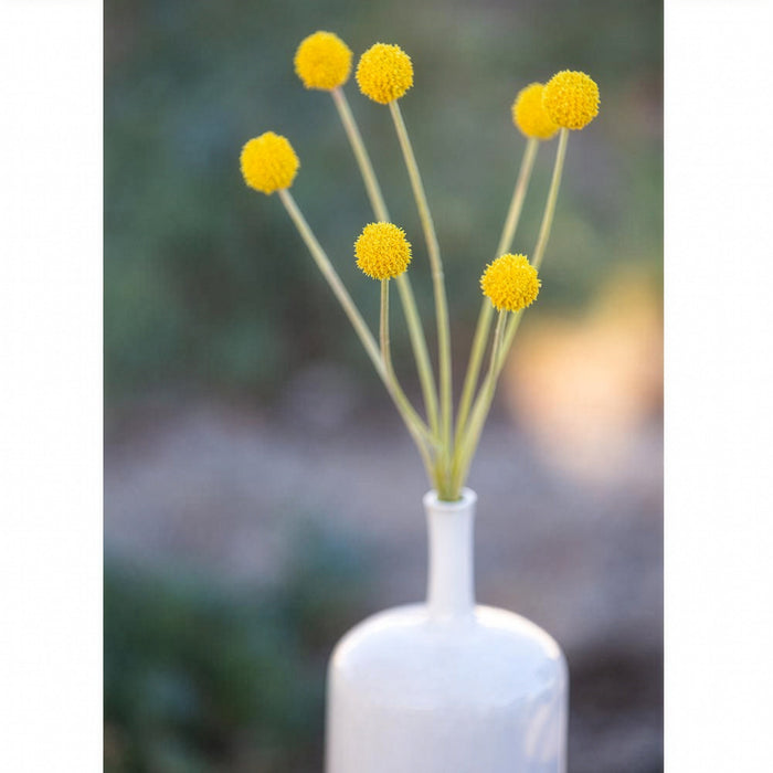 24" Silk Billy Button Craspedia Flower Spray -Yellow (Pack of 12) - FSB018-YE