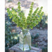 29" Silk Bells Of Ireland Flower Spray -Green (Pack of 12) - FSB414-GR