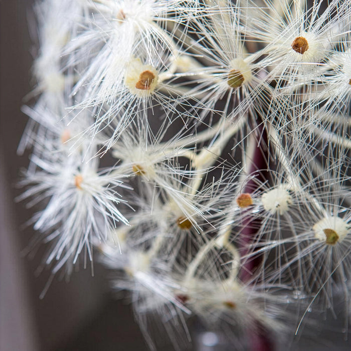 28" Silk Dandelion Flower Spray -Ivory (Pack of 8) - FSD754-IV