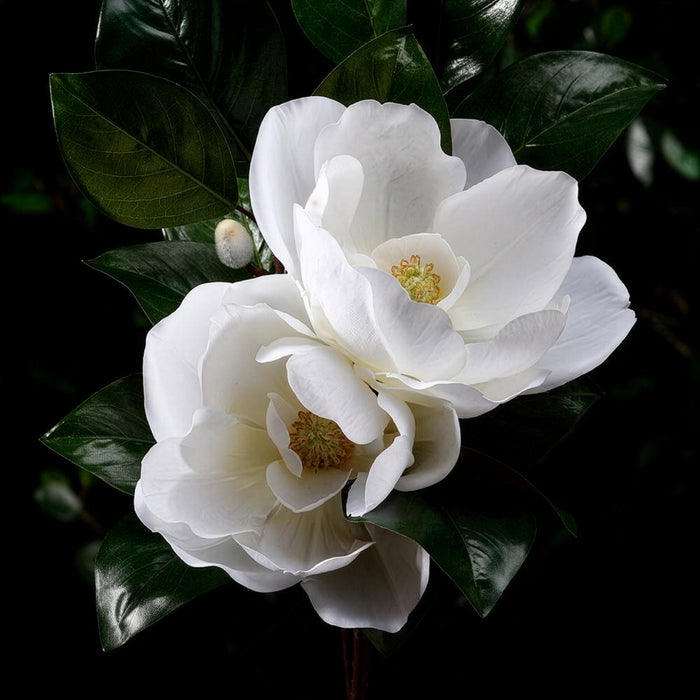 34" Silk Magnolia Flower Spray -White (Pack of 12) - FSM729-WH
