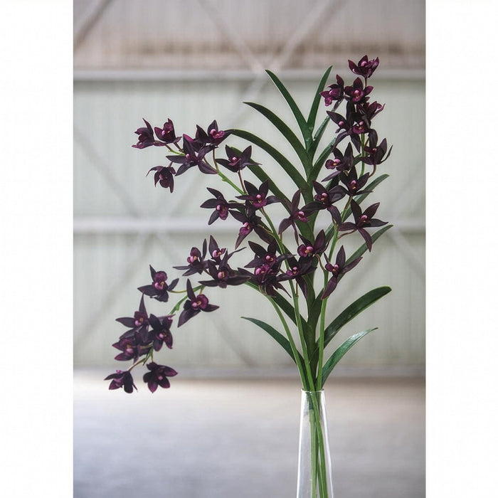 38" Hand-Wrapped Cymbidium Orchid Silk Flower Stem -Plum (Pack of 12) - FSO010-PL