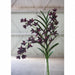 38" Hand-Wrapped Cymbidium Orchid Silk Flower Stem -Plum (Pack of 12) - FSO010-PL